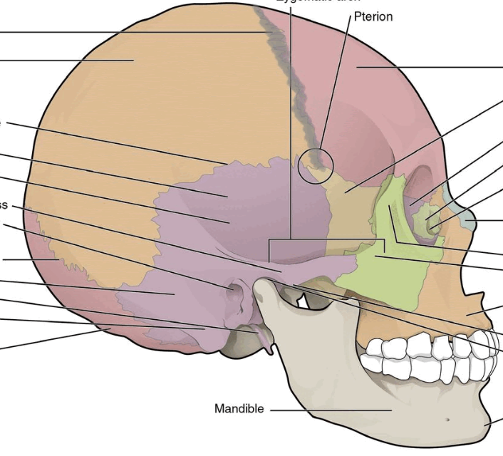 <p>What is the grey line?</p>