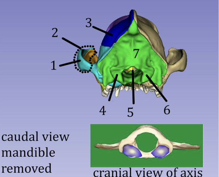 <p>#2</p>