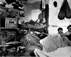 <p>wrote "How the Other Half Lives" that told the public about the lives of the immigrants and those who lived in the tenement housing.</p>