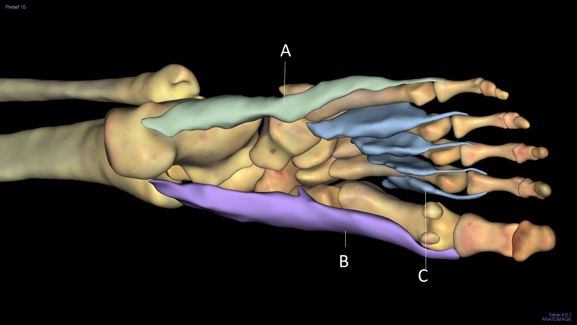 <p>B</p>