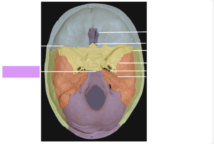 <p>Welk sutuur is dit?</p>