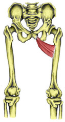 <p>adduct and flex thigh</p>