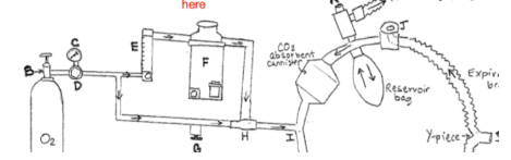 <p>image</p>
