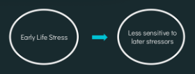 <p><strong>early moderate stress acts like a vaccine</strong>, reducing sensitivity to future stress.</p><ul><li><p>Moderate stress exposure strengthens the stress response system.</p></li><li><p>Like a vaccine exposes the body to a mild virus to build immunity, <strong>moderate stress “trains” the brain and stress hormones</strong> to respond more effectively later.</p></li><li><p>Early moderate stress → system learns how to respond</p></li><li><p>Later stress → more controlled, regulated response</p></li></ul><p><strong>Outcomes of moderate early stress:</strong></p><ul><li><p>Increased resilience</p></li><li><p>Better emotional regulation</p></li><li><p>Lower emotional reactivity</p></li><li><p>More adaptive coping</p></li><li><p>More flexible stress response system</p></li></ul><p><strong>Important distinctions:</strong></p><ul><li><p><span data-name="cross_mark" data-type="emoji">❌</span> Too little stress → lack of preparedness</p></li><li><p><span data-name="cross_mark" data-type="emoji">❌</span> Too much stress → dysregulation &amp; negative outcomes</p></li><li><p><span data-name="check_mark_button" data-type="emoji">✅</span> Moderate stress → resilience and adaptive functioning</p></li></ul><p></p>