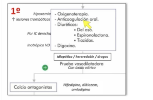 <ol><li><p>Ecocardiograma </p></li><li><p>Confirmar con cateter de arteria pulmonar, >20 presión arterial media</p></li></ol><p></p><p></p><p></p>