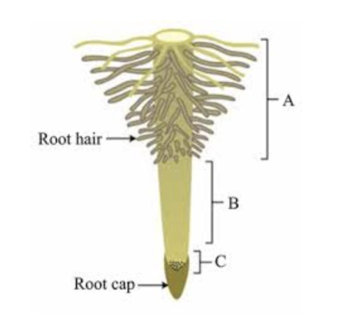 <p>Label the regions</p>