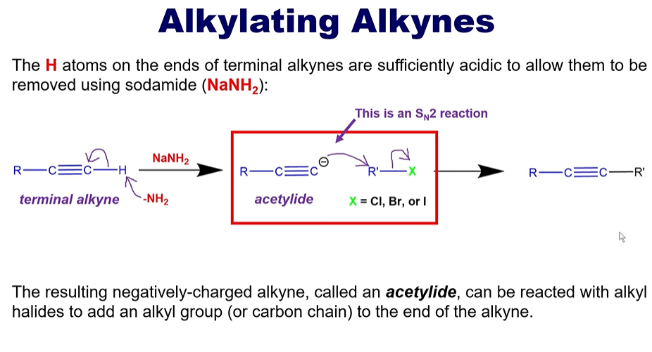 <p>The H atoms on the ends of <strong>terminal </strong>alkynes are sufficiently acidic to allow them to be removed using sodamide <strong>(NaNH2)</strong></p><p></p><p>These can then have an halide added to them to add an alkyl group (or carbon chain)</p>