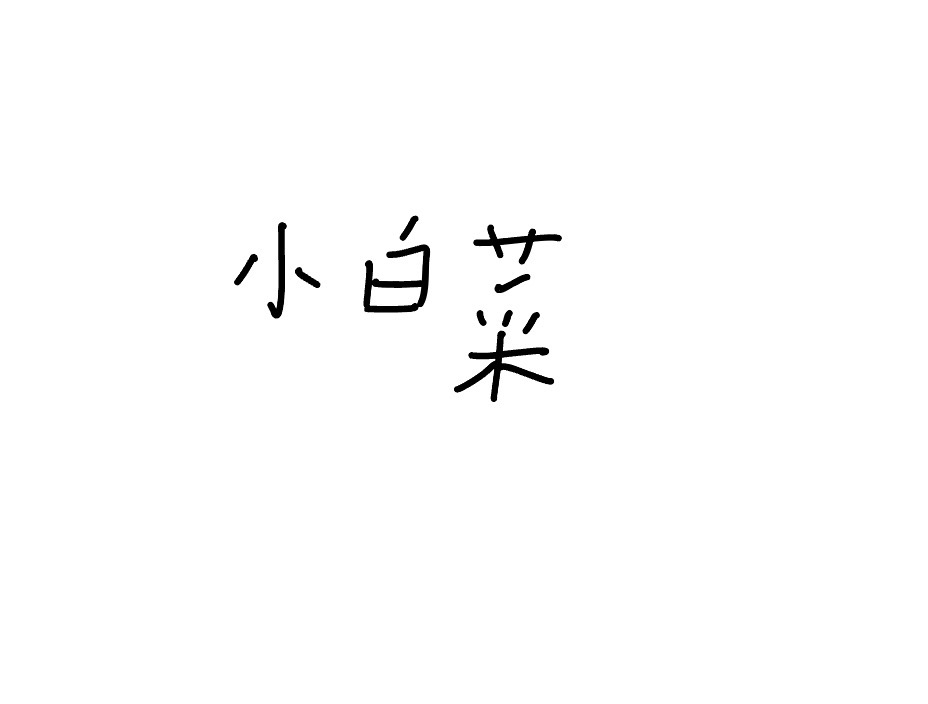 <p>Xiǎo báicài</p>