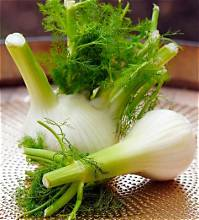 <p>cây thì là </p>