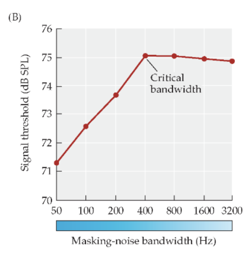 <ul><li><p><span style="background-color: transparent;"><strong>Bandwidth: </strong>the width of that noise (how many Hz it covers)</span></p><ul><li><p><span style="background-color: transparent;">All the frequencies across the range (80-95 has all between)</span></p></li></ul></li><li><p><span style="background-color: transparent;">When noise bandwidth increases, you need to increase the&nbsp; amplitude of the original tone to hear it… to a point&nbsp;</span></p><ul><li><p><span style="background-color: transparent;">Small tone, small bandwidth = block– keep adding on both&nbsp;</span></p></li></ul></li><li><p><span style="background-color: transparent;">Eventually, we hit the critical bandwidth, where further bandwidth increases don’t impact the tone</span></p><ul><li><p><span style="background-color: transparent;">So far away from the tone frequency, it stops blocking it</span></p></li></ul></li></ul><p></p>