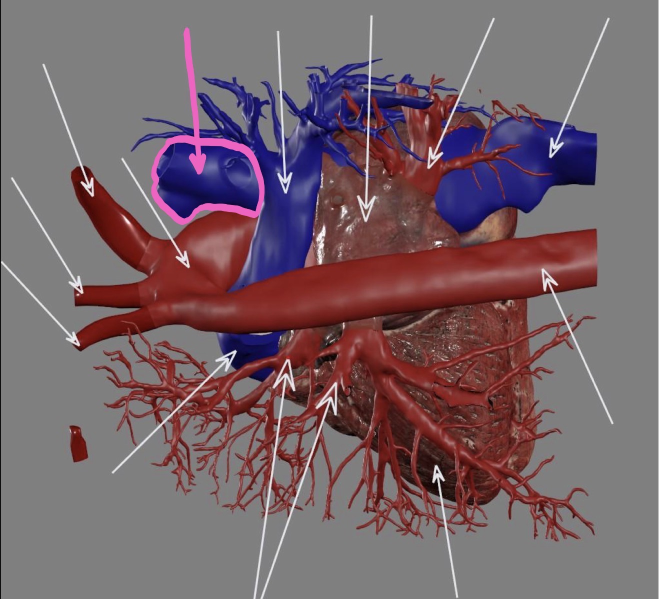 <p>What’s the highlighted area?</p>