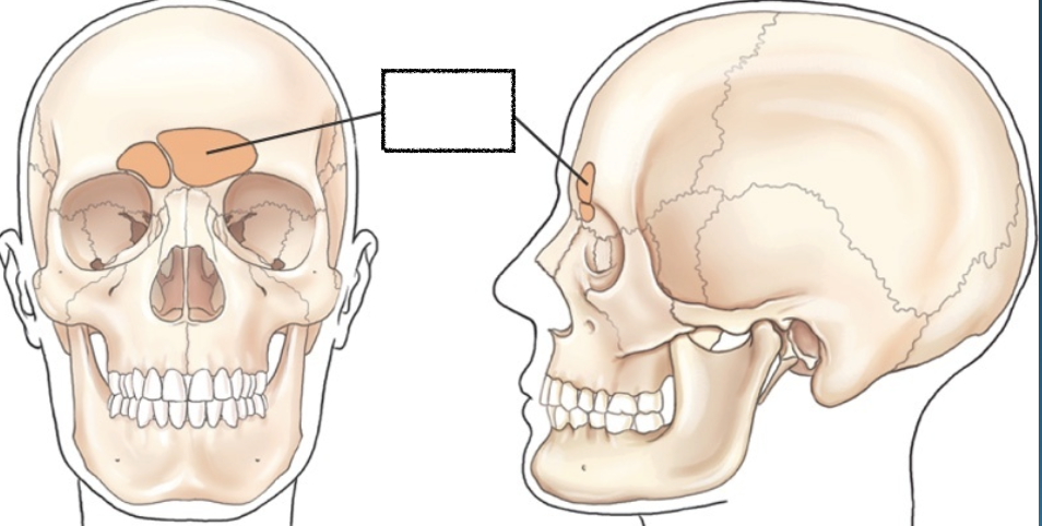 <p>What is this?</p>