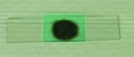 <p>stool processing technique</p>