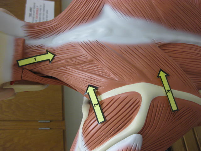 <p>What is at #2?</p>