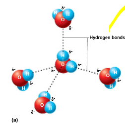 <p>a hydrogen atom is attracted to negative portion of a polar molecule such as Oxygen</p>