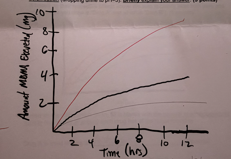 <p>Explain: a lower pH equals an increased base with a charge meaning urine increases</p>