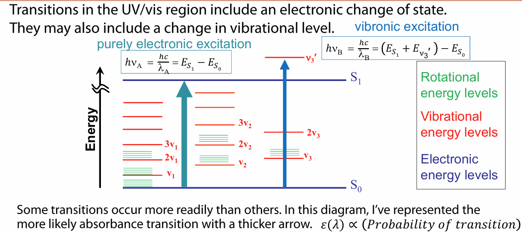 <ul><li><p>recall: UV/vis transitions involve change in electron occupancy in molecular orbitals and therefore electronic state changes (electronic excitation)</p></li><li><p>transitions may also include change in vibrational levels (vibronic excitation)</p></li><li><p>molar absorptivity ε(λ) is a measure of how strongly a compound absorbs light at a given wavelength —> this is proportional to the probability of transition (how likely electronic transition occurs)</p></li></ul><p></p>