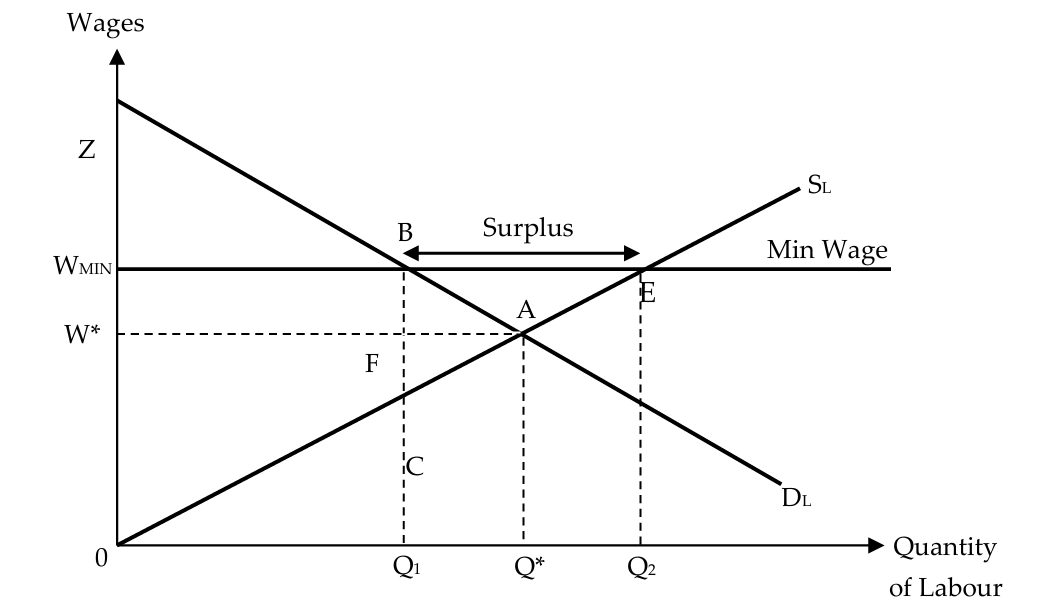 <p><strong>minimum wage: the minimum amount of remuneration that an employer is required to pay wage earners for the work performed during a given period, which cannot be reduced by collective agreement or an individual contract</strong></p><ul><li><p>an effective wage floor is a legally established minimum wage, WMIN, set above the market equilibrium wage, W* to protect the incomes of low-wage workers ⇒ raises the wages of the bottom earners</p></li></ul><p></p>