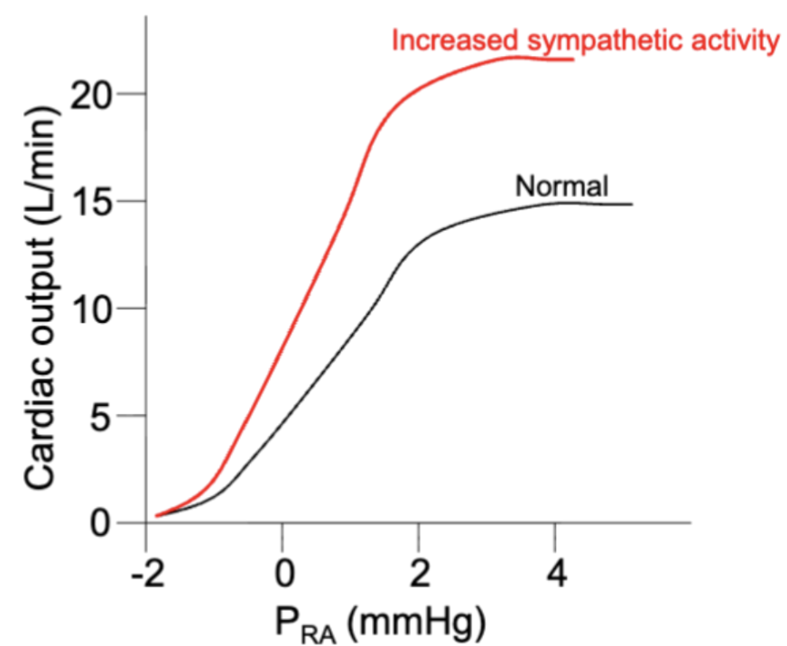 <p><span style="background-color: transparent;"><strong>Cardiac Function → </strong>______</span></p>
