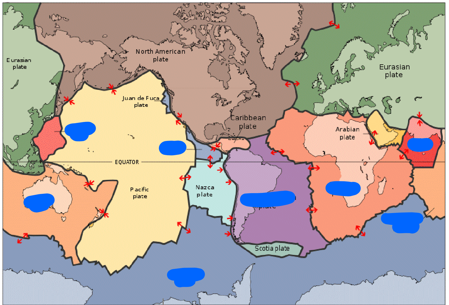 <p>Name the covered plates</p>