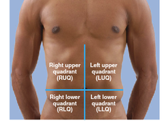 <p>four regions with the umbilicus (navel) at the center, helping to identify positions of organs</p>