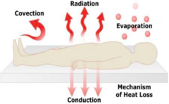 <p>convection is air blowing off heat</p>