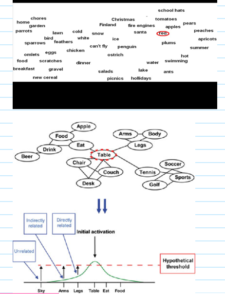 <ul><li><p><span style="font-family: "Arial Nova Light";">Morphemes and phonemes are some of the info which is in human mental lexicon. The lexicon is a knowledge of words shared by speakers of a language. The lexicon includes a word's phonemic representation, morphological structure, and meaning.</span></p></li><li><p><span style="font-family: "Arial Nova Light";">The lexicon is an abstraction. Clearly something like the lexicon must exist, but how, where, how we access it, and the neurological correlates are still unknown.</span></p></li><li><p><span style="font-family: "Arial Nova Light";">We know, as an educated adult, 10-20k words, but you'd recognise about 30k. We stick to tried and true language words, a few thousand. It's how we communicate.</span></p></li><li><p><span style="background-color: rgb(255, 153, 204); font-family: "Arial Nova Light";">Spreading activation model</span><span style="font-family: "Arial Nova Light";">.</span></p></li><li><p><span style="font-family: "Arial Nova Light";">Concepts (and words) are organised in semantic categories.</span></p></li><li><p><span style="font-family: "Arial Nova Light";">Semantically related words 'activate' each other so that you will be faster recognising semantically related words (e.g. bread / butter).</span></p></li><li><p><span style="font-family: "Arial Nova Light";">Words with similar orthographic 'neighbours' are recognised more slowly.</span></p></li><li><p><span style="font-family: "Arial Nova Light";">Some words are easier to access then others (</span><span style="background-color: rgb(255, 153, 204); font-family: "Arial Nova Light";">word frequency effect</span><span style="font-family: "Arial Nova Light";">).</span></p></li><li><p><span style="font-family: "Arial Nova Light";">That we go from one concept all the way to another.</span></p></li><li><p><span style="font-family: "Arial Nova Light";">Some words have a high threshold. But words that come across frequently, have a high initial activation, so will be easily accessed.</span></p></li><li><p><span style="font-family: "Arial Nova Light";">It's how our language networks are designed. </span></p></li><li><p><span style="font-family: "Arial Nova Light";">Rules of language help us understand the world, but it's specific to us.</span></p></li></ul><p></p>