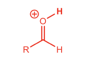<p>Protonated aldehyde</p>