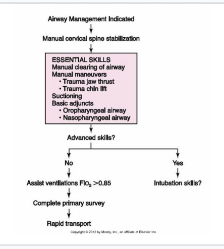 <ul><li><p><span style="background-color: transparent;"><strong><em>The goal in managing any patient’s airway is to maintain an open and patent airway that allows for adequate breathing, ventilation, and oxygenation.</em></strong></span></p></li></ul><p><strong><br></strong></p><ul><li><p><span style="background-color: transparent;"><strong><em>Management progresses from basic to more advanced procedures and adjuncts.</em></strong></span></p></li></ul><p></p>