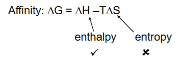 <p><span>Ligand-binding events are driven by a combination of enthalpic<br>and entropic effects, either of which can dominate specific<br>interactions.</span></p><ul><li><p><span>Most scoring functions are much more focused on capturing energetic (electrostatic &amp; van der Waals interactions) than entropic effects</span></p></li></ul><p></p>