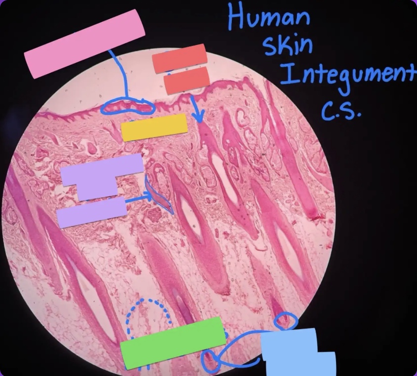 <p>What does the pink box represent?</p>