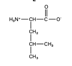<p>non-polar aliphatic</p>