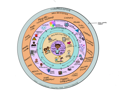 <p>Ecological systems theory</p>