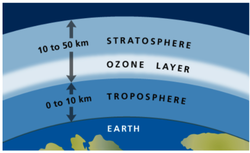 <ul><li><p>many jets fly here as it is stable</p></li><li><p>contains the ozone layer which absorbs UV rays</p></li></ul><p></p>