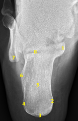 <p>2?</p>