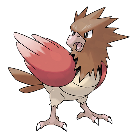 <p>What type is Spearow?</p>