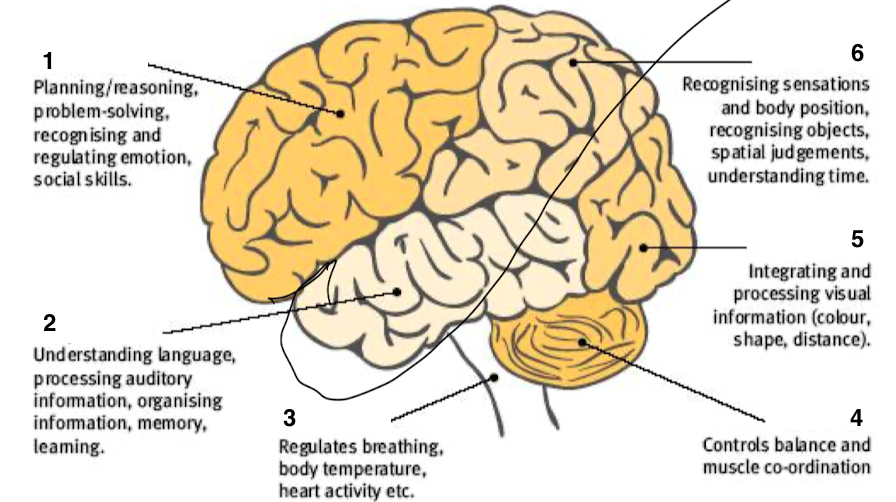 <p>6</p>