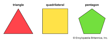 <p>A closed shape with straight sides.</p>