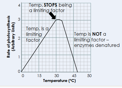 <p><span style="background-color: transparent; font-family: "Century Gothic", sans-serif;">Photosynthesis is an <strong>enzyme-</strong>controlled reaction</span></p><p><br></p>