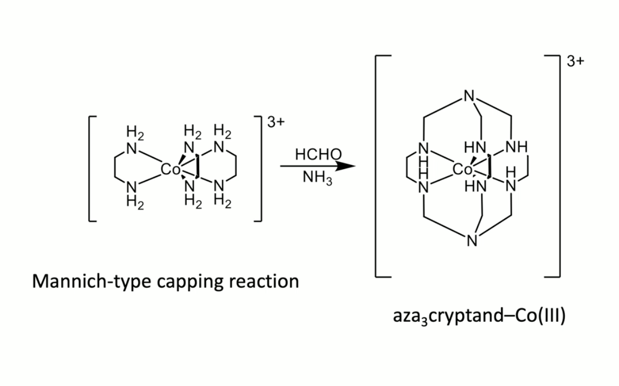<p>good LFSE of Co<sup>3+</sup> in O<sub>h</sub> geometry; then that geometry allows capping vs oligomerisation</p><p>the point is that by holding in the right geometry, rate of intra > rate of intermolecular - kinetic template</p><p>can also happen with Fe<sup>3+</sup> with triamine + diester</p>