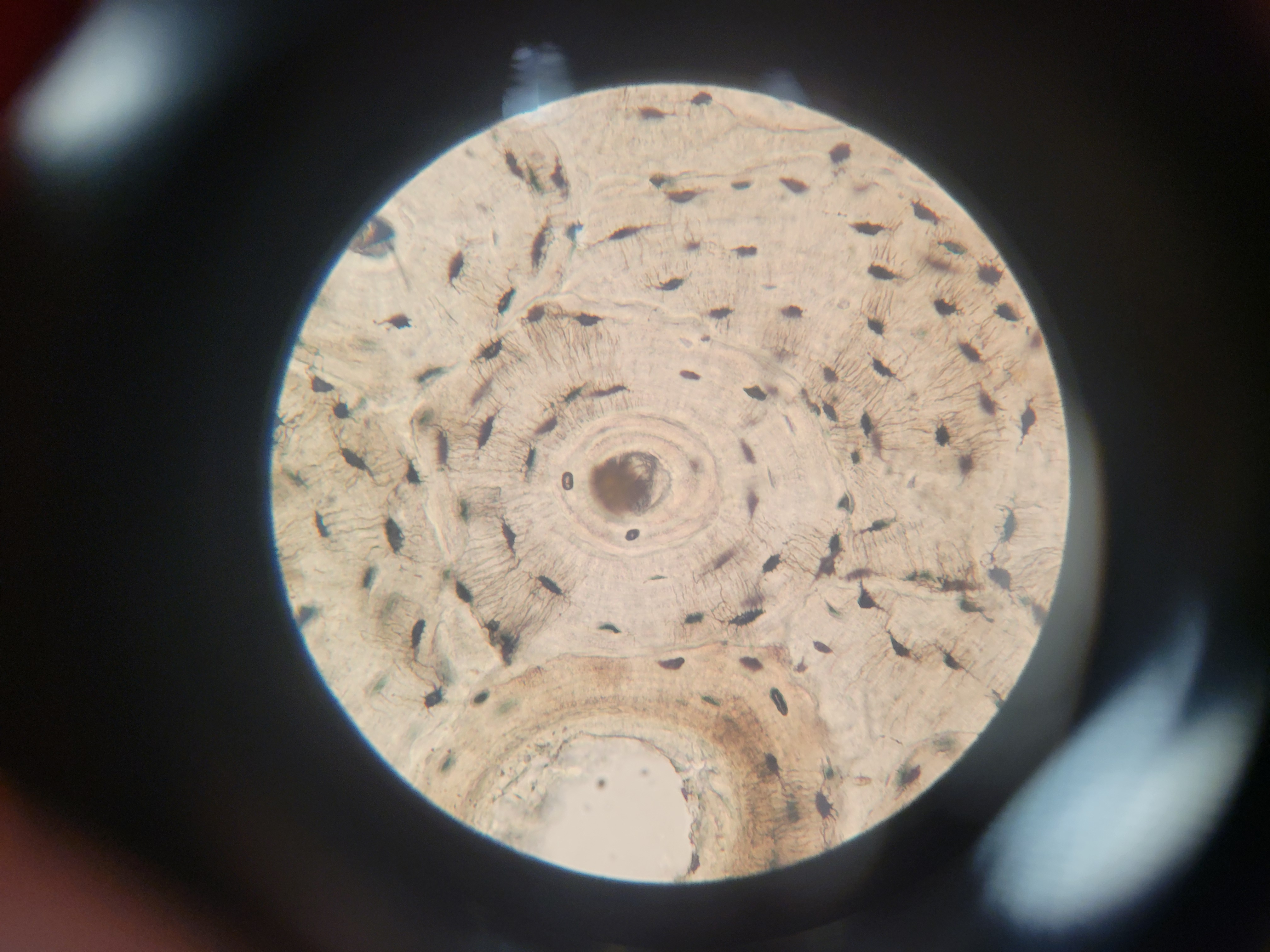 <p>What is shown? What are some features displayed?</p>