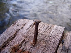 <p>US: /neɪl/UK: /neɪl/ Example: Hit the _____ carefully with a heavy hammer. A thin metal spike with a flat head, driven in with a hammer. Đinh đóng (thẳng) Thân nhẵn (không ren), dùng búa đóng trực tiếp.</p>