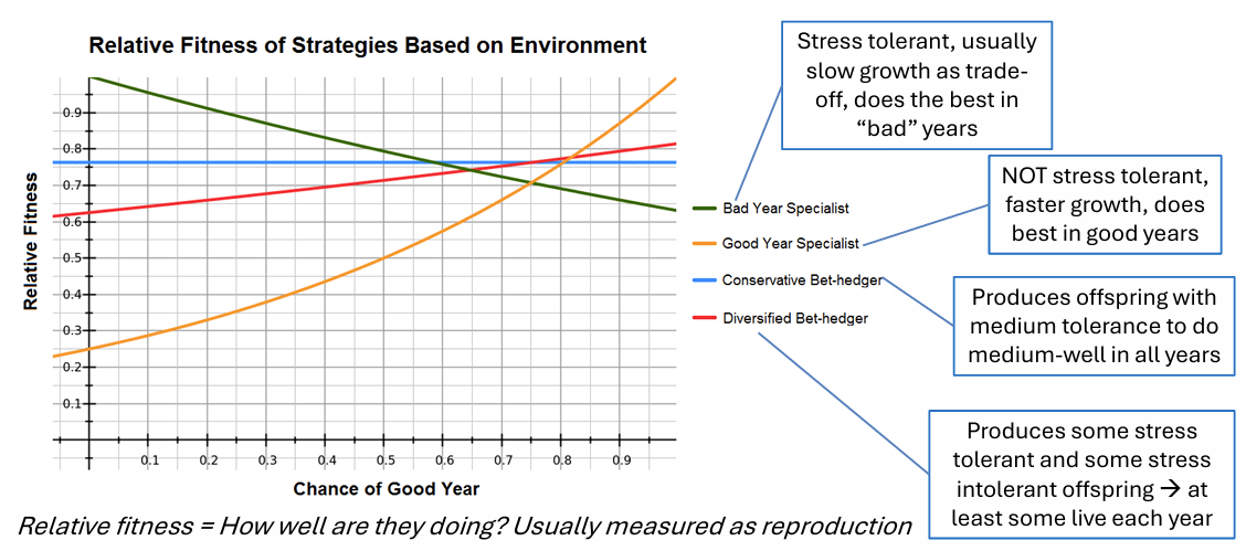 <p>making a variety of offspring types to try to maximize # that survive </p><ul><li><p>strategy for highly variable environments (unpredictable &amp; unstable)</p></li></ul><p></p>