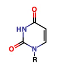 <p>Name the ring and the nucleotide</p>