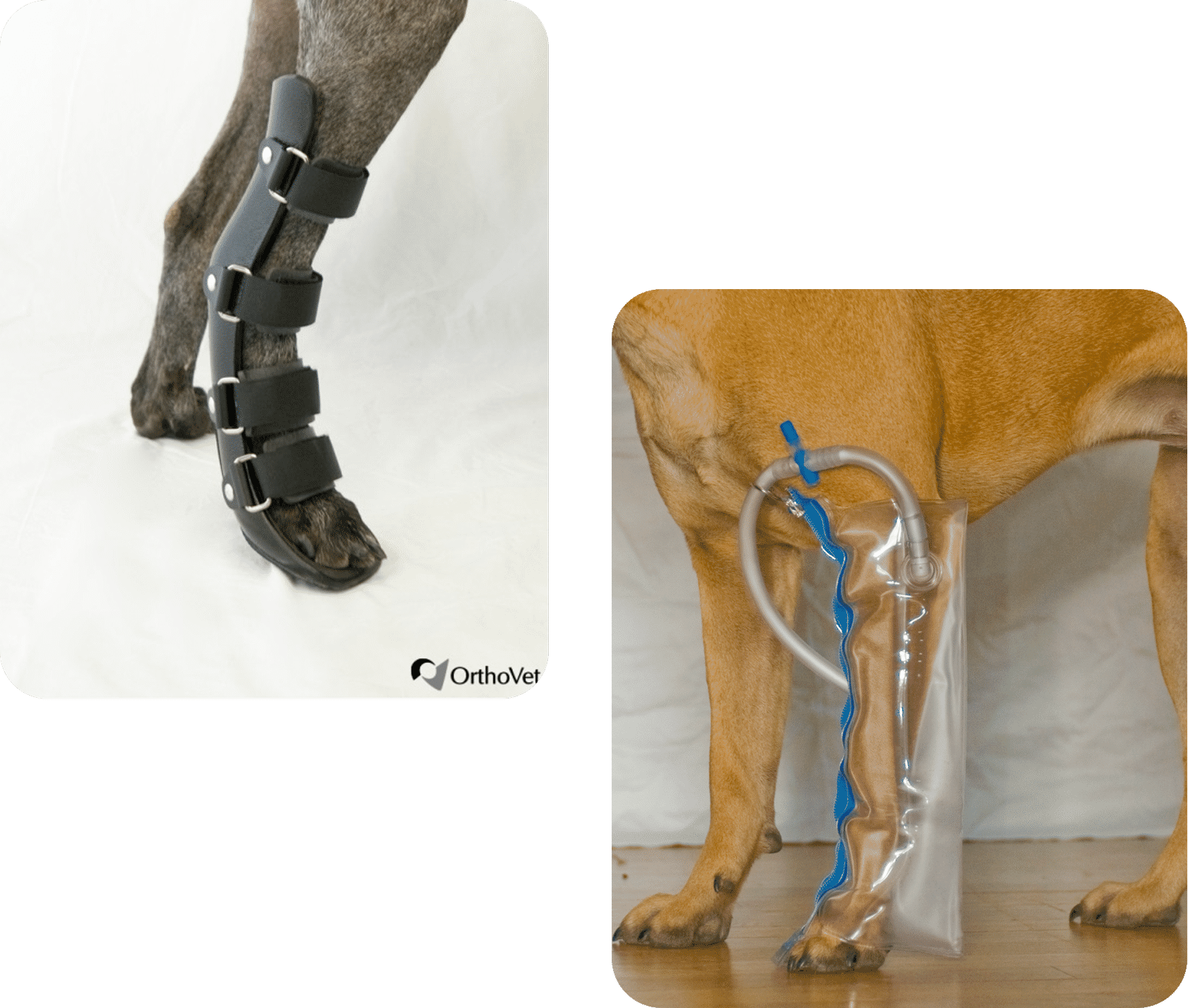 <p>Splints </p>