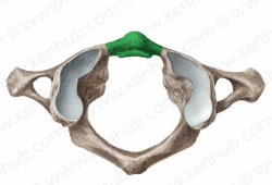 knowt flashcard image