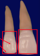 <p>Identify the structure</p>