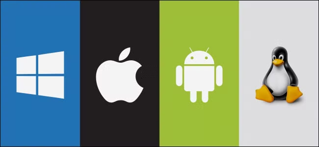 <p>The main software that manages a computers hardware and allows you to use applications. Common OS are Windows, Windows IoT, Linux, Android.</p>