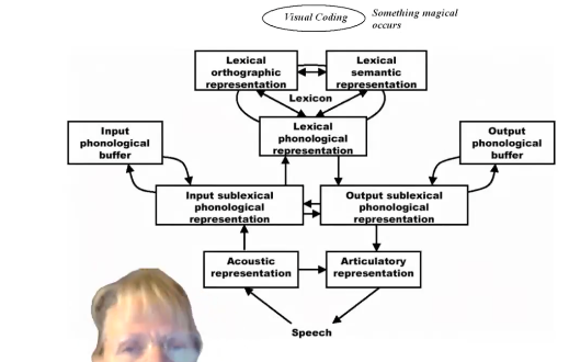<ul><li><p><span style="font-family: "Arial Nova Light";">Most research has been language-based. That this is a language problem. That's true. But there is also a visual part.</span></p></li><li><p><span style="font-family: "Arial Nova Light";">There are complex mental models of word recognition, but an assumption that something visual also happens. Not that it just goes from visual cortex straight to brain. Something could be happening there. If there was something up with the visual coding, it would have impacts for later brain mechanisms in reading. If visual coding isn't right, which is at the start of this process, then when learning to read, it'll have a knock on and affect all the other processes when trying to read.</span></p></li><li><p><span style="font-family: "Arial Nova Light";">Dyslexia was originally considered to be a difficult in visual processing! But this belief was abandoned when dyslexic readers were consistently shown to have normal vision (so moved to language-based processing).</span></p></li></ul><p></p>