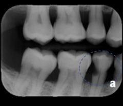<p>What is this an example of?</p>